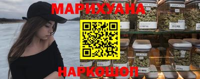 прущие крисы Будённовск